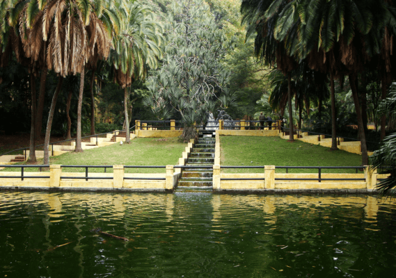 Parque Agua Branca