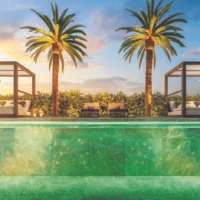 Cyrela Bothanic Residences Campo Belo - Detalhe Piscina Cyrela Bothanic Residences Campo Belo - Detalhe Piscina