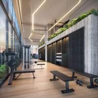 Invert Campo Belo - Fitness Torre A Araucaria Invert Campo Belo - Fitness Torre A Araucaria