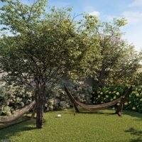 Amaro - Redário Amaro - Redário