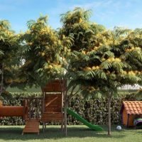 Raízes Premium Mooca - Playground Raízes Premium Mooca - Playground