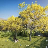 Expression Ibirapuera - Pet place Expression Ibirapuera - Pet place