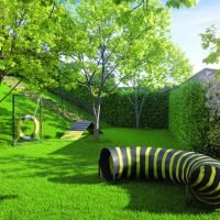 Living Duett Mooca - Pet place Living Duett Mooca - Pet place