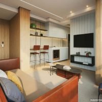 Moa 292 NR - Perspectiva living studio 33m² Moa 292 NR - Perspectiva living studio 33m²