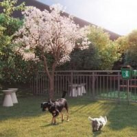 Wire Capote Valente - Pet place Wire Capote Valente - Pet place