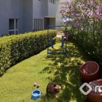 Side Sacomã - Pet place Side Sacomã - Pet place