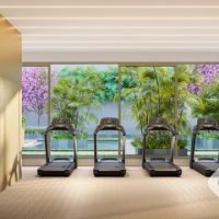 Mandarim The Legend - Fitness Mandarim The Legend - Fitness