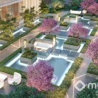 Mandarim The Legend - Espelho d'água Mandarim The Legend - Espelho d'água