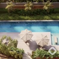 The Collection Moema - Voo pisicna The Collection Moema - Voo pisicna