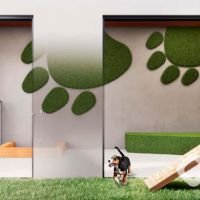 DF345 Vila Clementino - Pet place DF345 Vila Clementino - Pet place