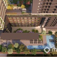 Moma Moema - Voo lazer Moma Moema - Voo lazer