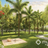 Alive Home Resort - Praça aberta ao público Alive Home Resort - Praça aberta ao público