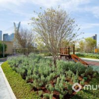 Only Cidade Jardim - Foto diurna pomar Only Cidade Jardim - Foto diurna pomar