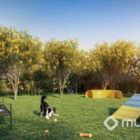 Dream View Sky Resort - Pet place Dream View Sky Resort - Pet place