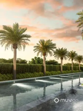 Living Only Ipiranga - Piscina