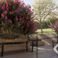 Viccino by Tarjab - Praça Viccino by Tarjab - Praça