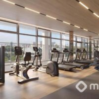 The Rose Vila Mariana | Torre Alba - Fitness The Rose Vila Mariana | Torre Alba - Fitness