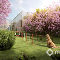 The Rose Vila Mariana | Torres Alba e Savi - Pet place The Rose Vila Mariana | Torres Alba e Savi - Pet place