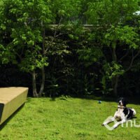 Emiie Moema Studios - Pet place Emiie Moema Studios - Pet place