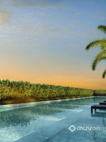 Living Grand Exclusive Tucuruvi - Piscina