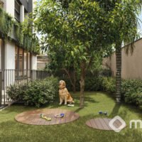 NUV Moema - Pet place NUV Moema - Pet place