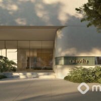 Gavia Moema - Acesso Gavia Moema - Acesso