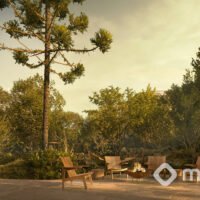 Gavia Moema - Bosque Gavia Moema - Bosque