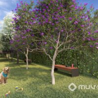 MAC Vila Clementino - Pet place MAC Vila Clementino - Pet place