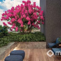 Quintessence Campo Belo - Descanso externo Quintessence Campo Belo - Descanso externo