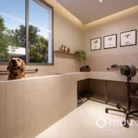 Today Vila Clementino - Pet care Today Vila Clementino - Pet care