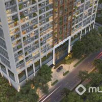 Metropolitan by Lindenberg - Voo rua Metropolitan by Lindenberg - Voo rua