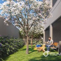 Casa Nacional - Pet place Casa Nacional - Pet place