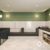 Reserva São Caetano Bosque - Pet care Reserva São Caetano Bosque - Pet care